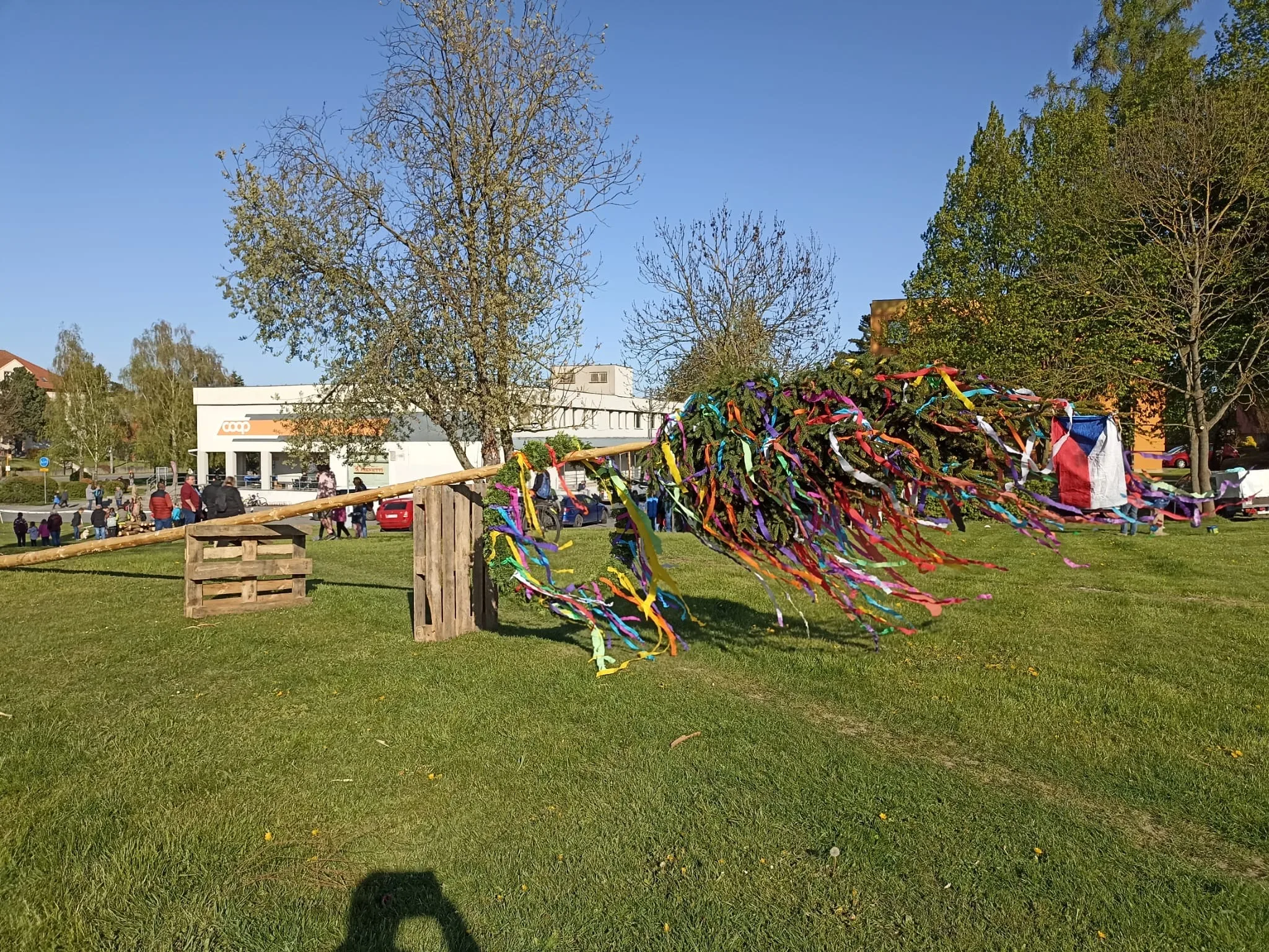 05e43d6e-84f5-4671-8579-341e5029c5a2.JPG