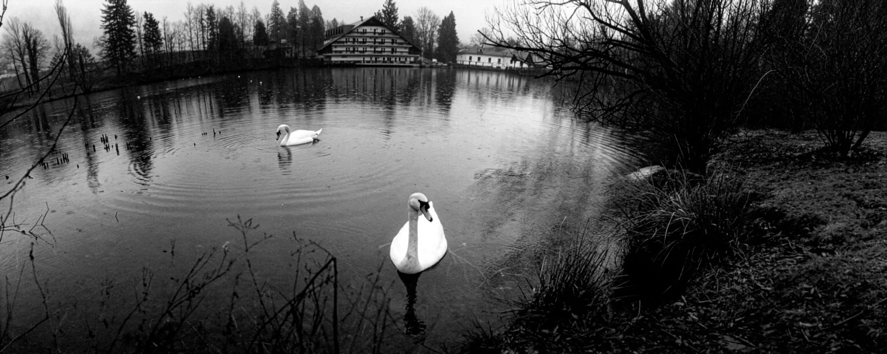 HORECKÝ FOTOFESTIVAL