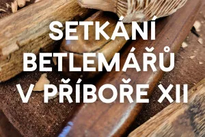 plak&aacute;t Setk&aacute;n&iacute; betlem&aacute;řů XII