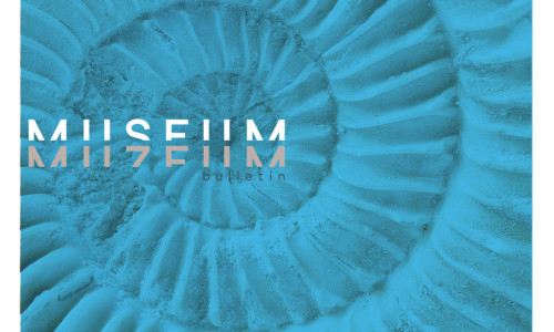 Muzeum bulletin 01/21