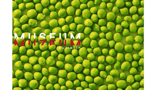 Muzeum bulletin SP/22