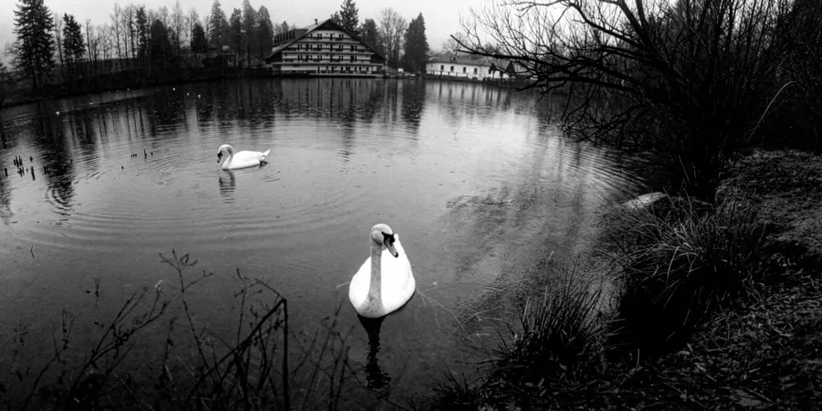 HORECK&Yacute; FOTOFESTIVAL