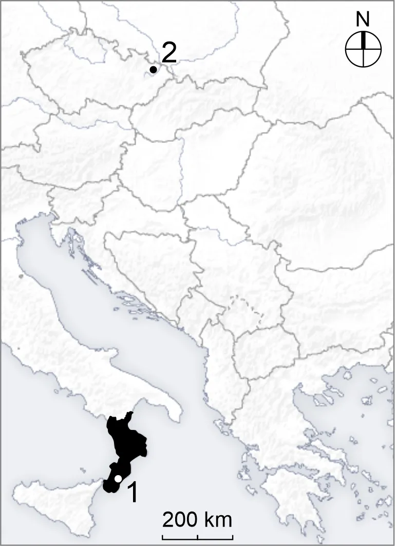 obr4a.jpg