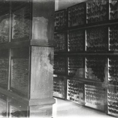 03 Kabinet Entomologie