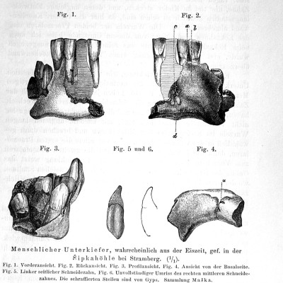 c-2