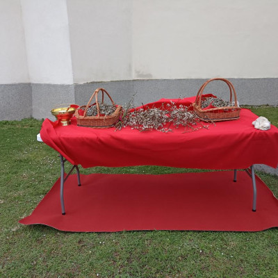 img_20260329_084416